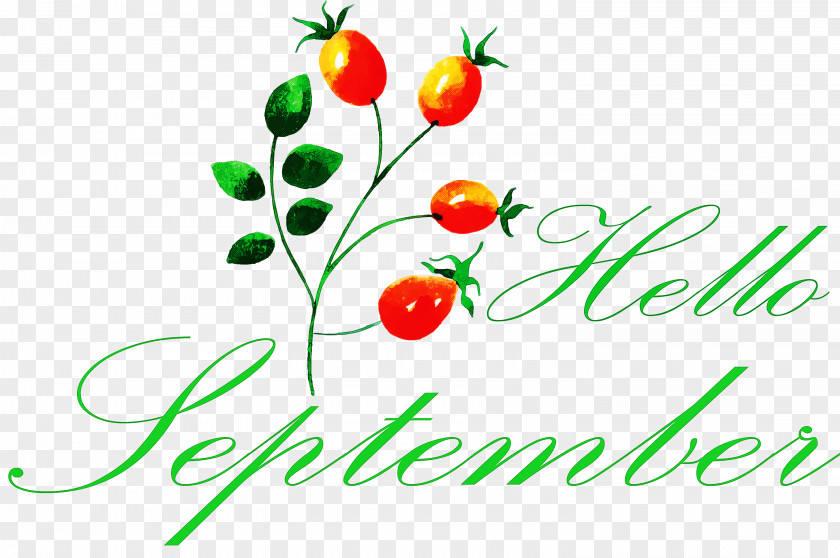 Hello September PNG