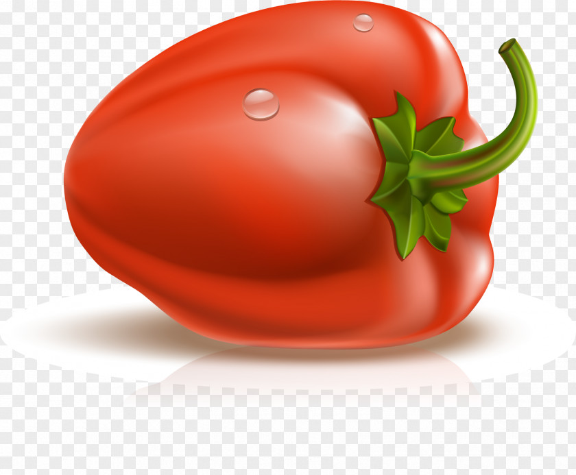 Vector Space Pepper Bell Euclidean Chili PNG