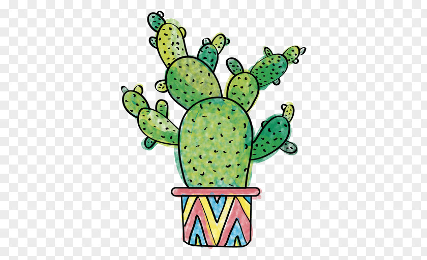 Cactus Cactaceae Drawing Succulent Plant San Pedro PNG