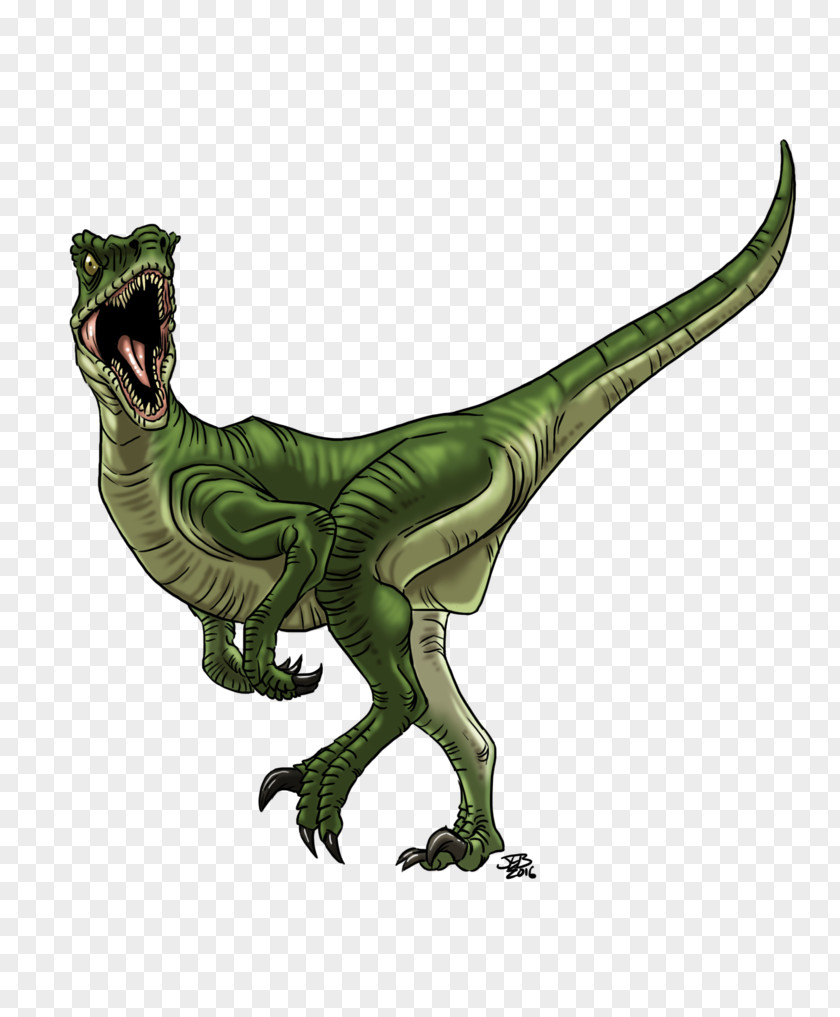 Dinosaur Velociraptor Deinonychus Raptor Red Utahraptor PNG