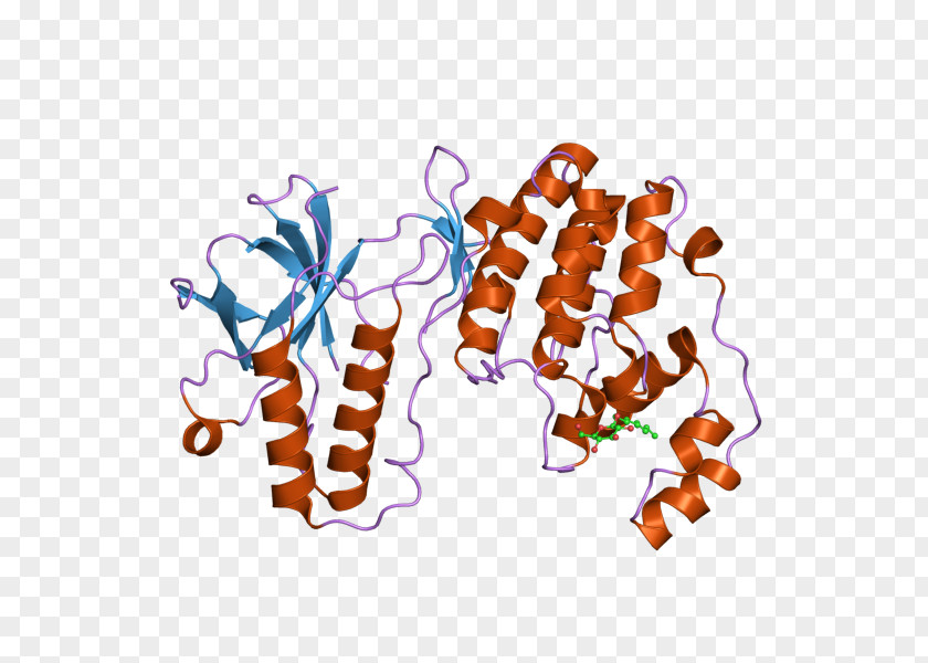 MAPK14 P38 Mitogen-activated Protein Kinases Enzyme PNG