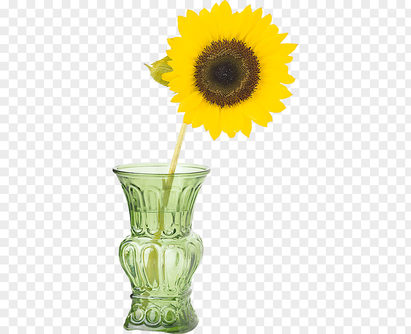Vase Common Sunflower Seed Bakery PNG