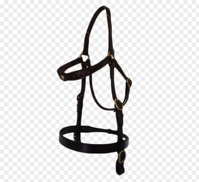 Bridle Longeing Cavesson Horse Tack Bit Halter PNG