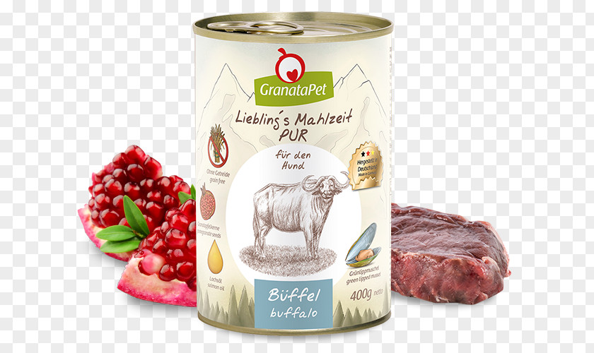 Dog Food Cat Meal PNG