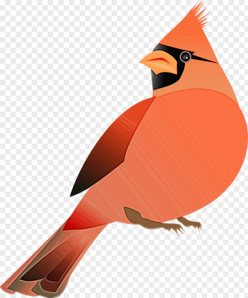 Finch Perching Bird Northern Cardinal Beak Songbird PNG