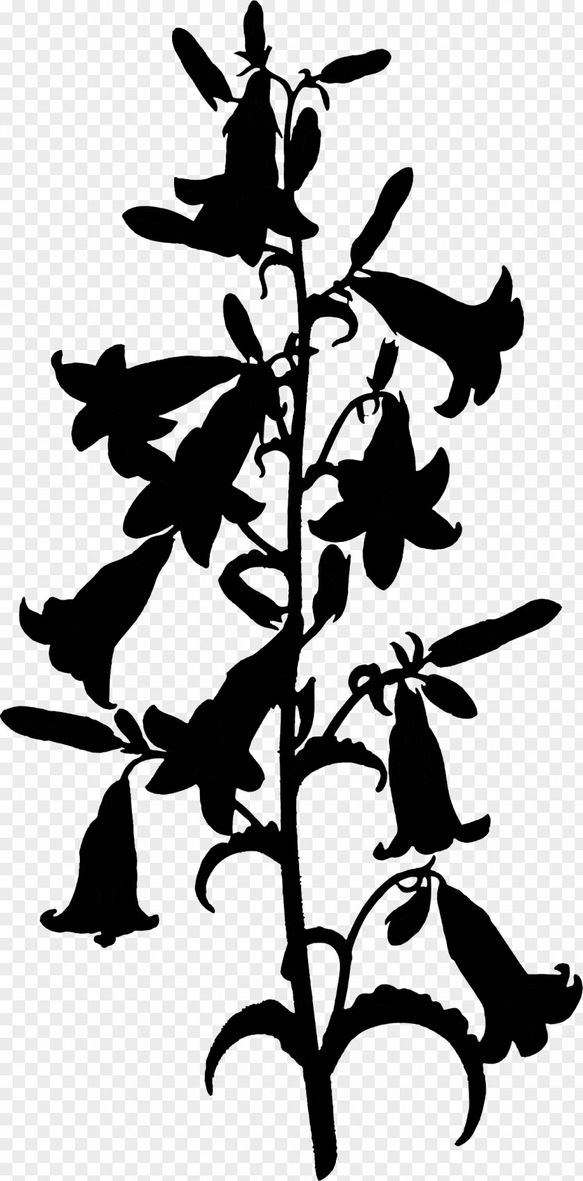 M Clip Art Flower Leaf Plant Stem Black & White PNG