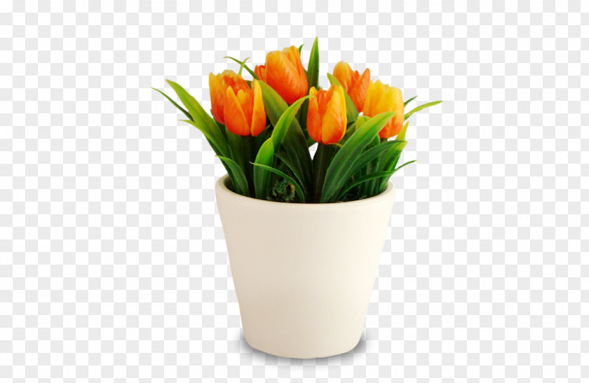 Tulip Floral Design Cut Flowers Flowerpot PNG