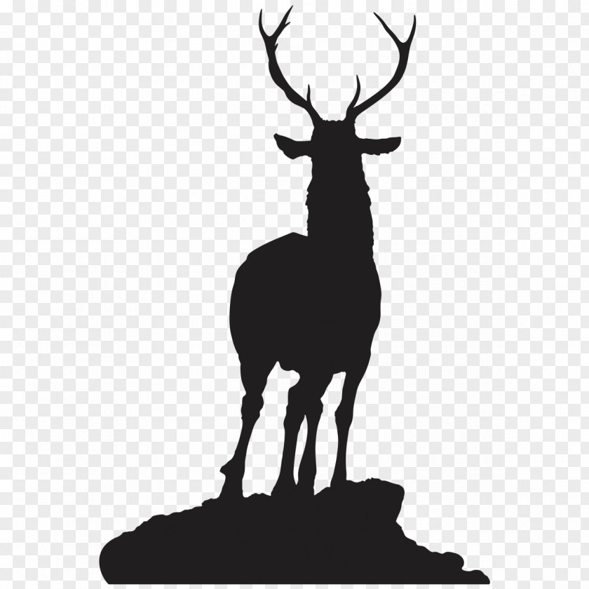 Rack Of Lamb Reindeer Silhouette Elk Roe Deer PNG