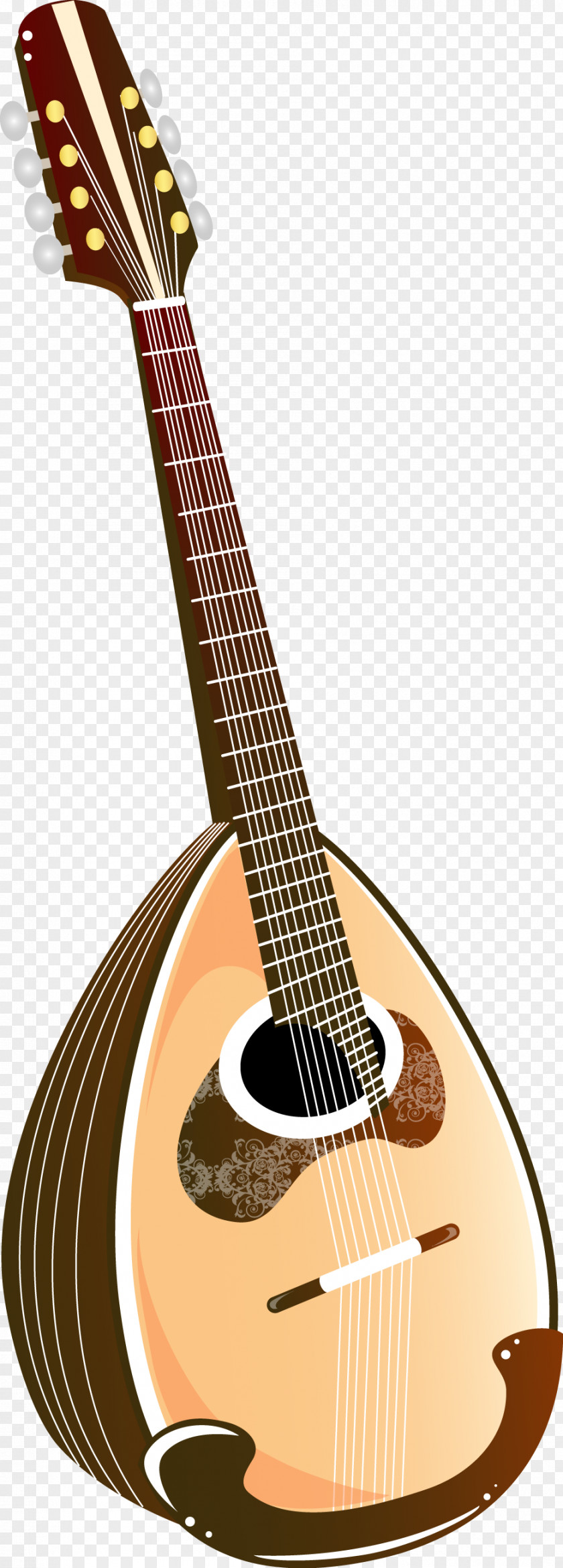Acoustic Guitar Banjo Mandolin Tiple Cuatro PNG