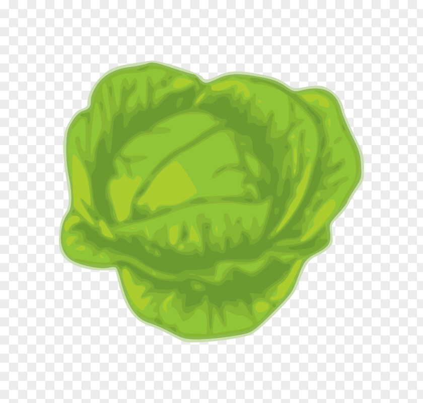 Cabbage Stock Photography Vegetable Art Clip PNG