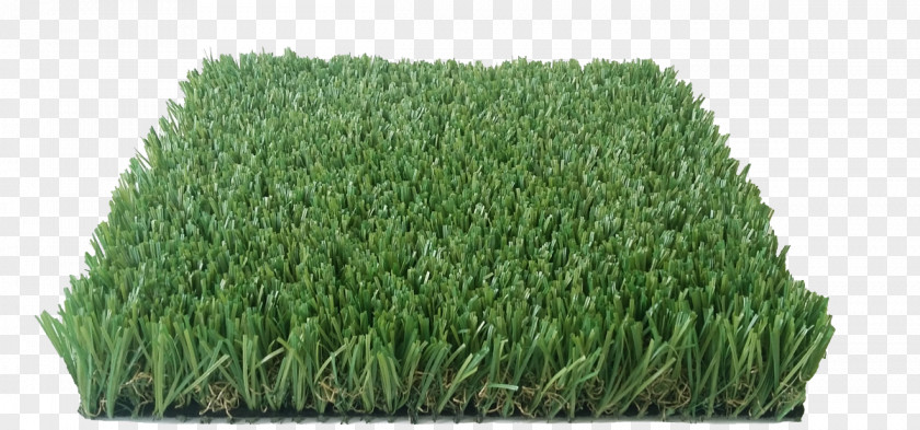 Carpet Teppich Kibek Fitted Artificial Turf Lawn PNG