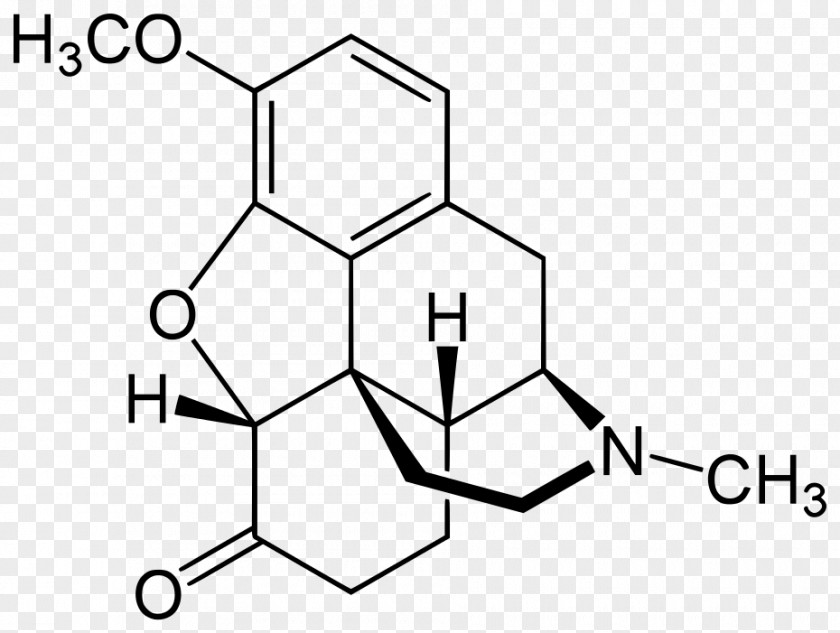 Codeine Morphine Hydrocodone Opioid Hydromorphone PNG