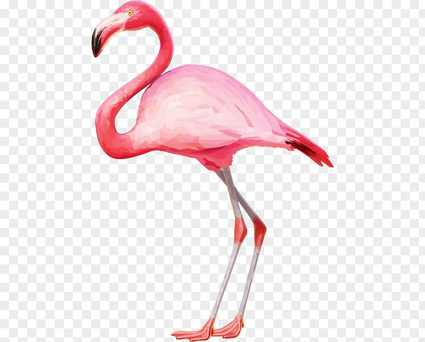 Flamingo Clip Art PNG