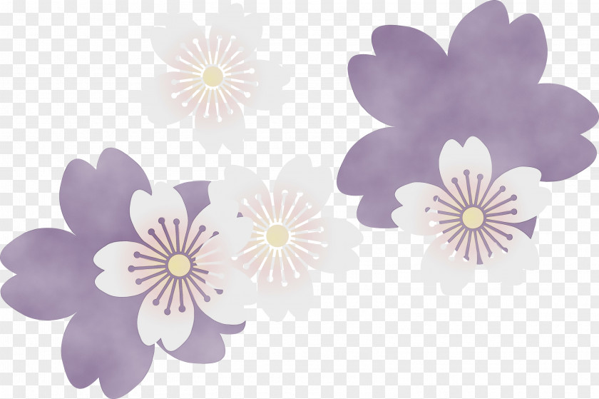 Flower Purple Petal Violet Plant PNG