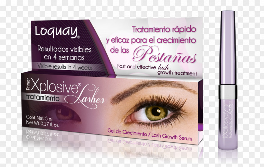 Hair Eyelash Extensions Mascara Eye Shadow PNG
