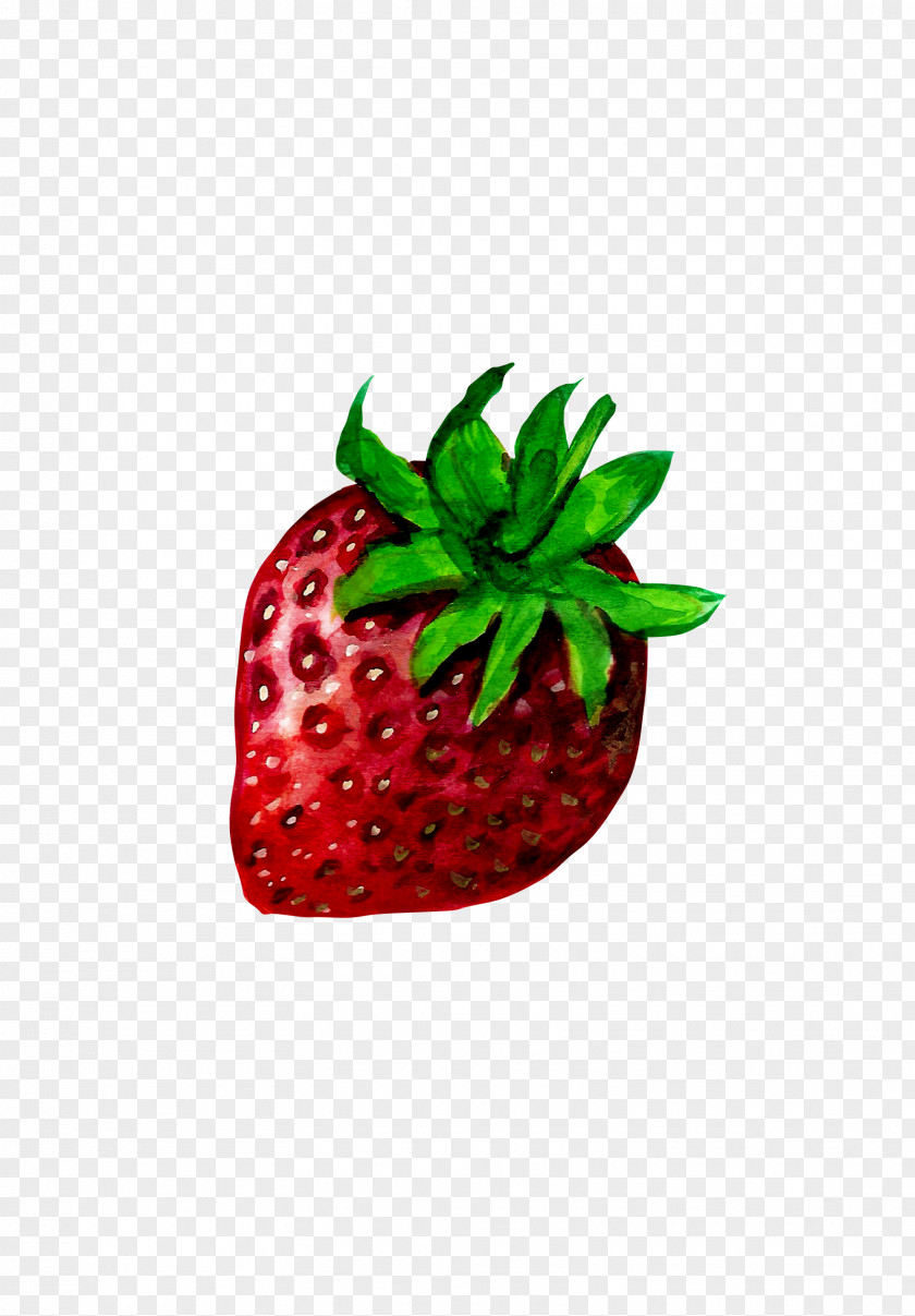 Hand-painted Strawberry Aedmaasikas Illustration PNG