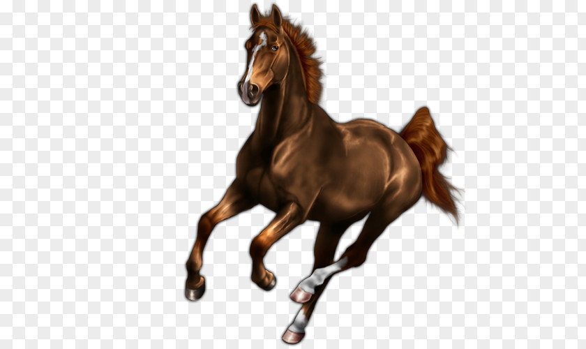 Liver Chestnut Horse Mustang Stallion Mare Rein Halter PNG