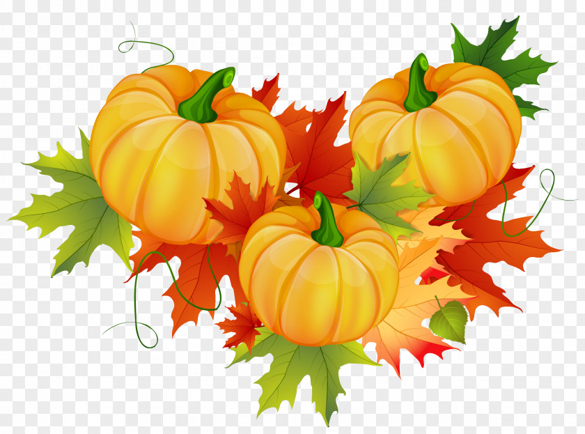 Thanksgiving Pumpkin Decoration Clipart Clip Art PNG