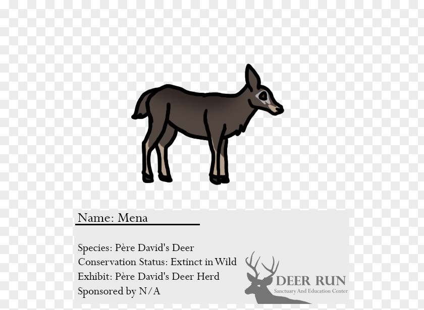 Deer Cattle Horse Goat Dog PNG