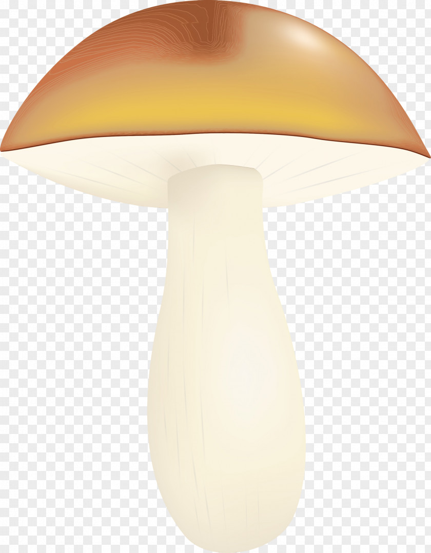 Lamp Light Fixture Mushroom Lighting Lampshade PNG