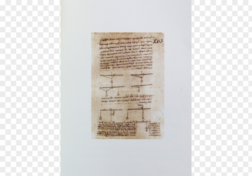 Leonardo Davinci Codex Arundel Paper British Library Painting Anatomy PNG
