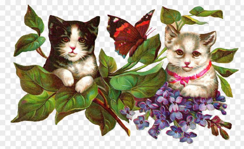 Wisteria Cat Kitten Butterfly Clip Art PNG