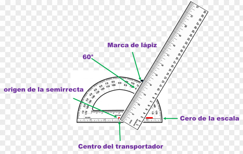 Angle Protractor Degree Geometry Compass PNG
