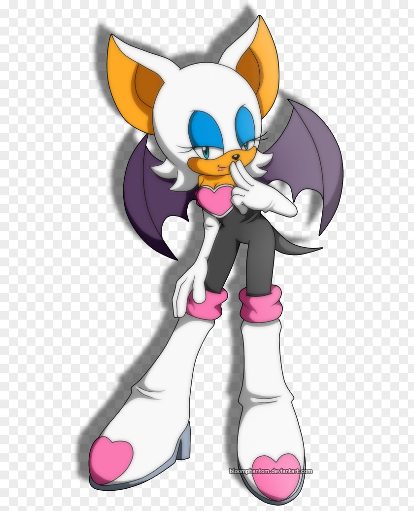 Chesse Rouge The Bat Shadow Hedgehog Amy Rose Knuckles Echidna Sonic Riders PNG