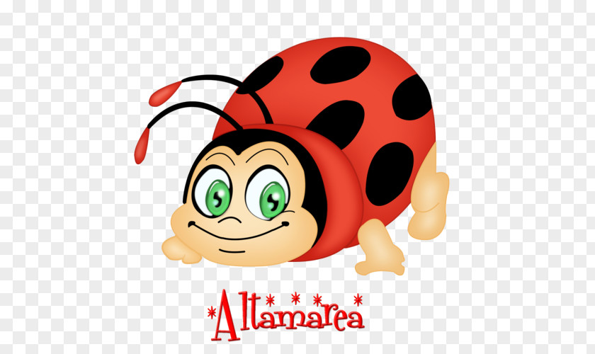 Insect Ladybird Drawing Clip Art PNG