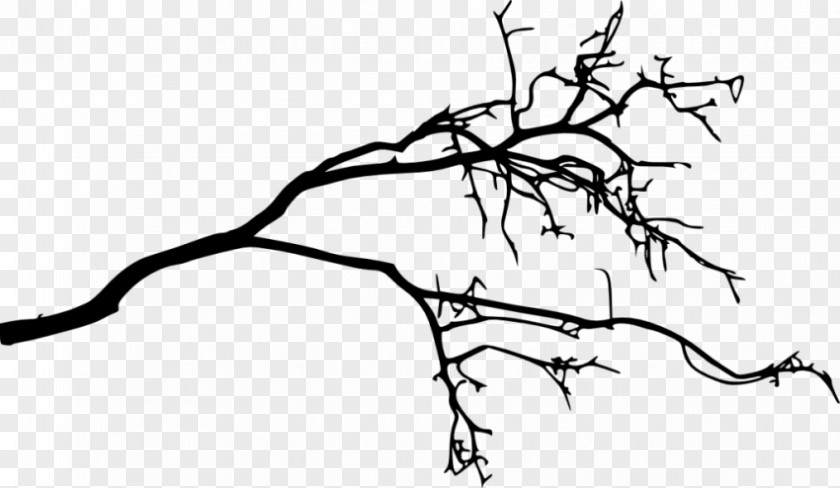 Silhouette Branch Drawing PNG