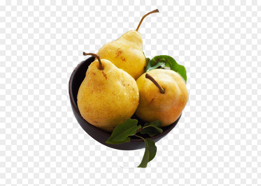 3 Sydney Asian Pear Stock Photography Home Improvement PNG