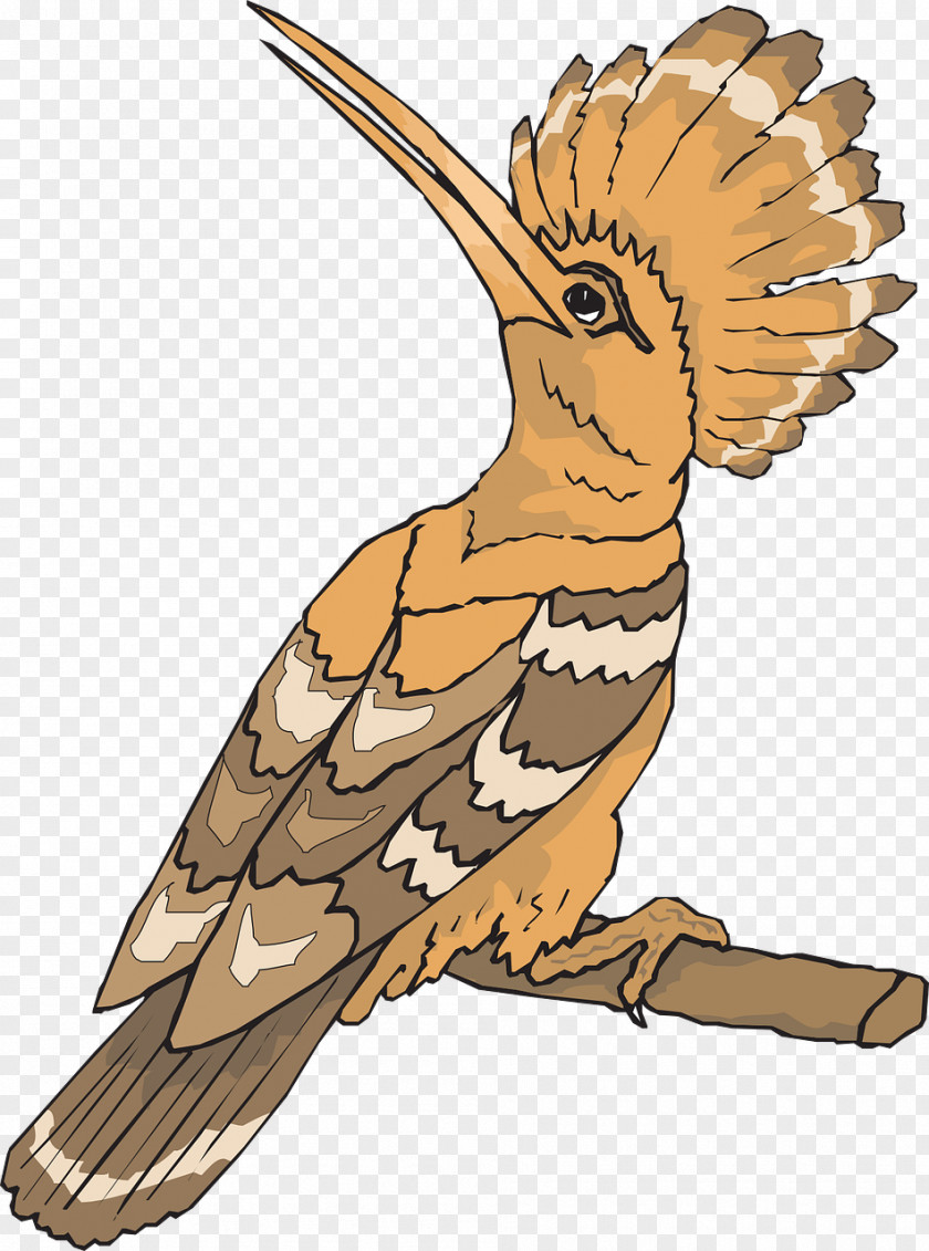 Bird Eurasian Hoopoe Clip Art PNG