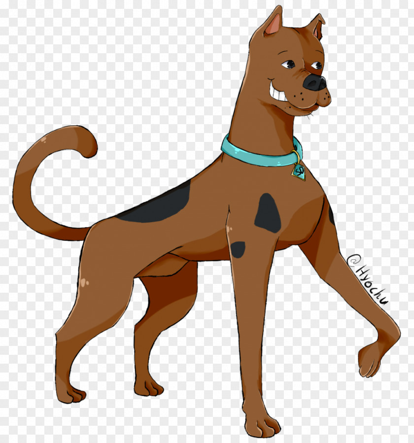 Scooby Doo Rovinj Dog Drawing Watercolor Painting DeviantArt PNG