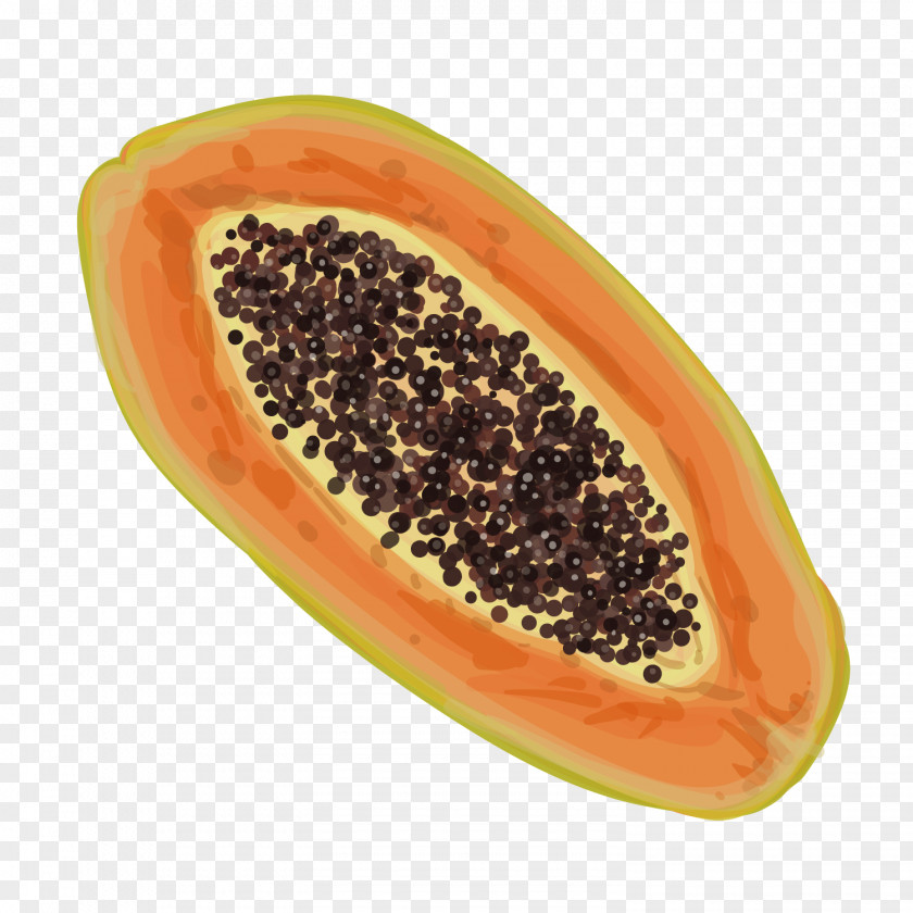 Vector Papaya Heart Vegetarian Cuisine Euclidean PNG