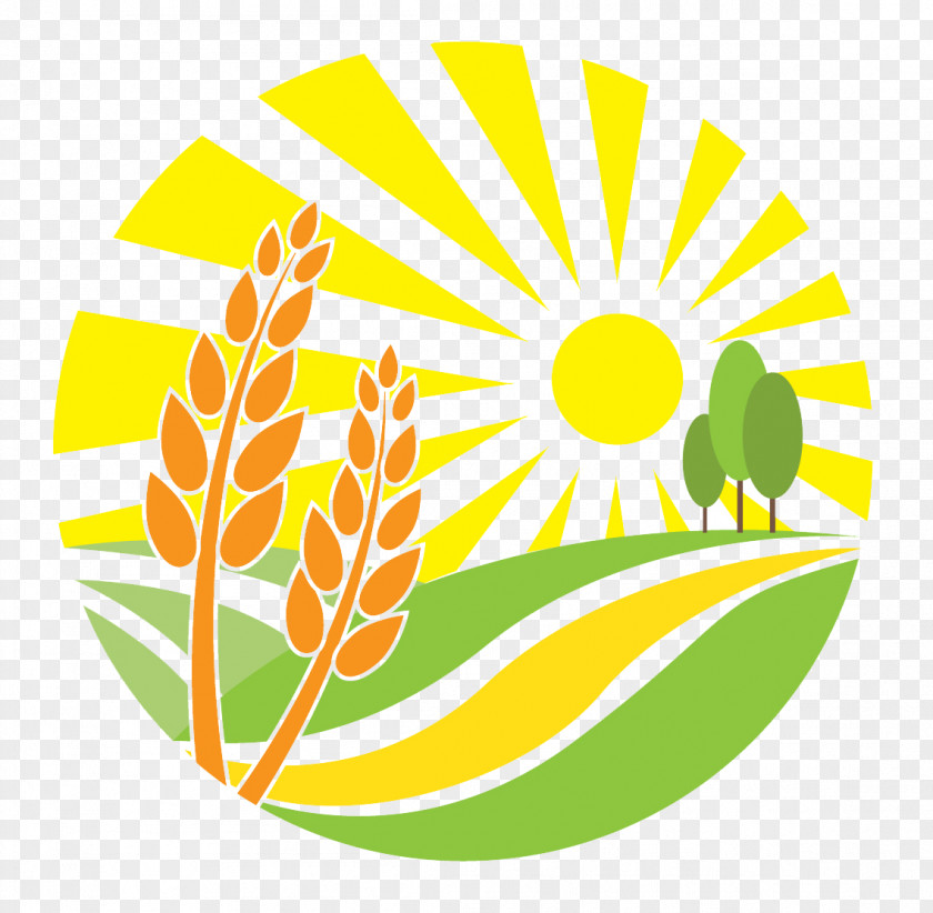 Agriculture Vector Graphics Farmer Agribusiness PNG