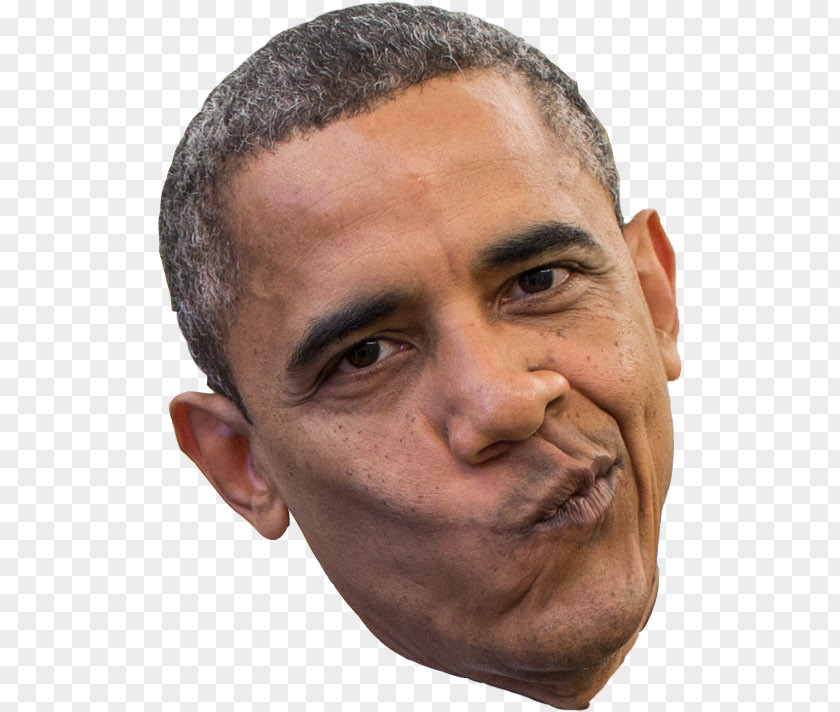 Barack Obama 2013 Presidential Inauguration White House Clip Art PNG