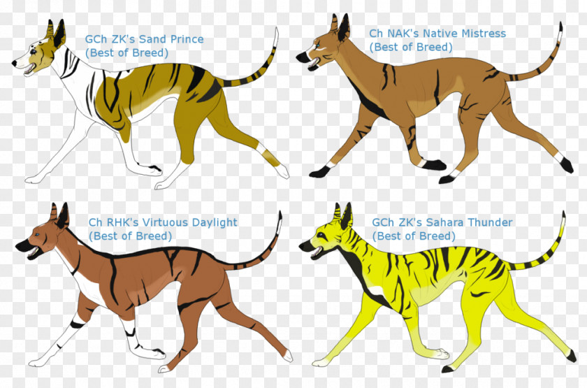 Cat Dog Breed Whippet Dingo Animal PNG