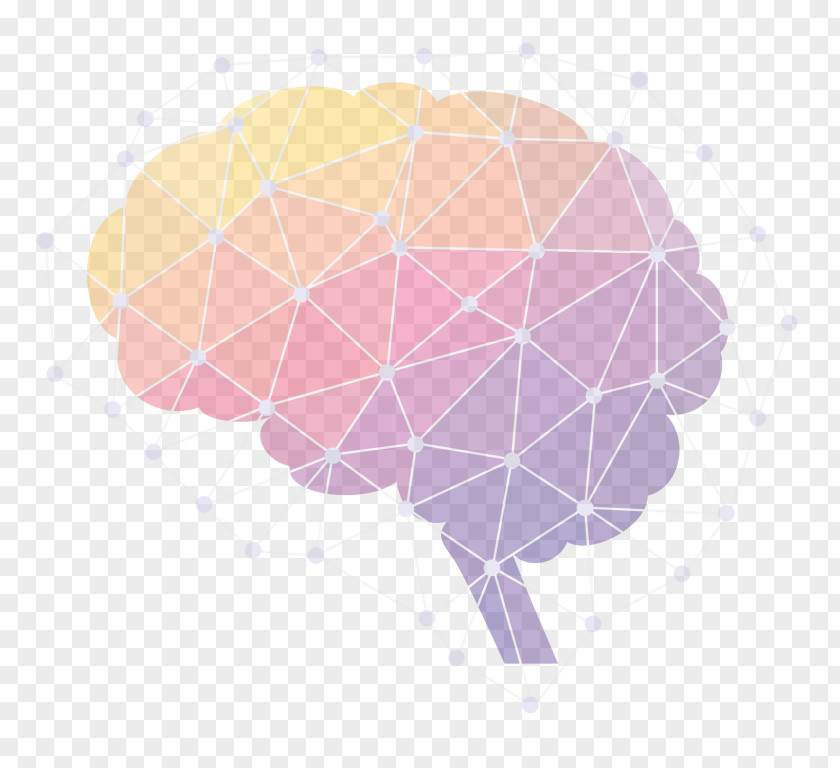 Facial Recognition Clip Art Vector Graphics Human Brain Illustration PNG