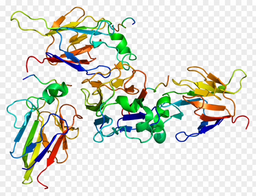 Gene Fant Jr CHEK2 Serine/threonine-specific Protein Kinase BRCA1 PNG