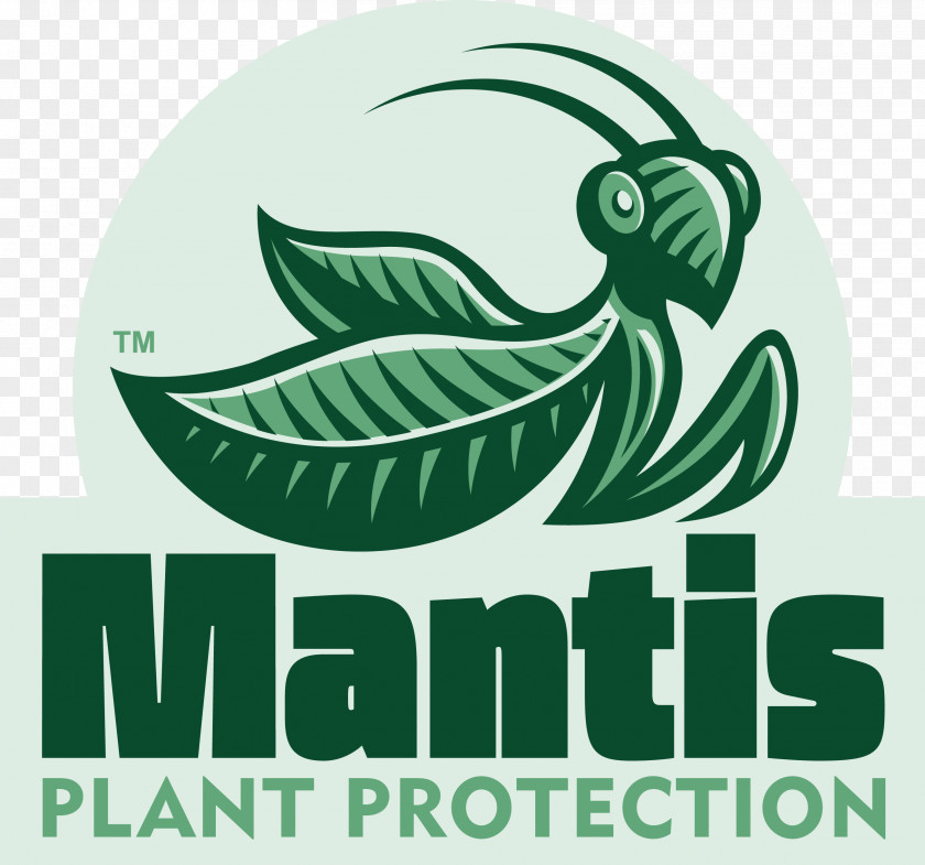 Insect Insecticide Mantis Acaricide Crop Protection PNG