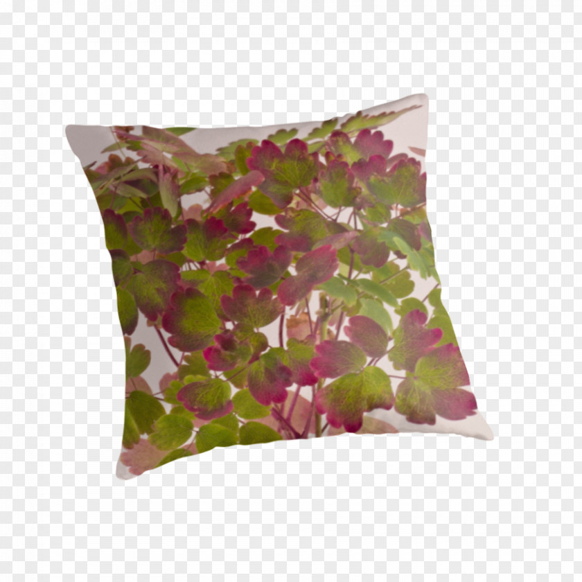Pillow Cushion Throw Pillows Pink M RTV PNG