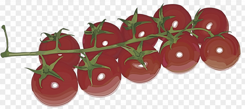 Plum Tomato Food PNG