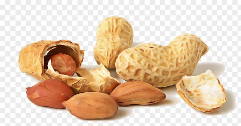 Walnut Legume Nut Peanut Food Nuts & Seeds Apricot Kernel PNG