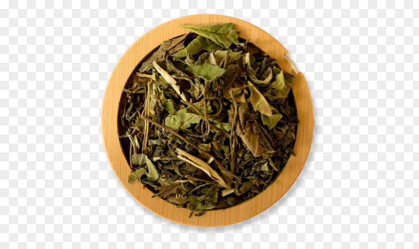 Green Tea Hōjicha White Assam Sencha PNG