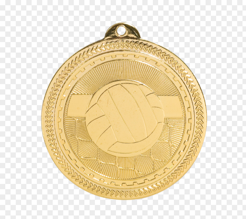 Medal Silver Award Trophy Commemorative Plaque PNG