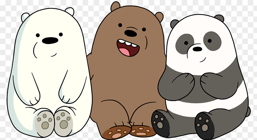 Bear Polar Baby Grizzly Giant Panda Desktop Wallpaper PNG