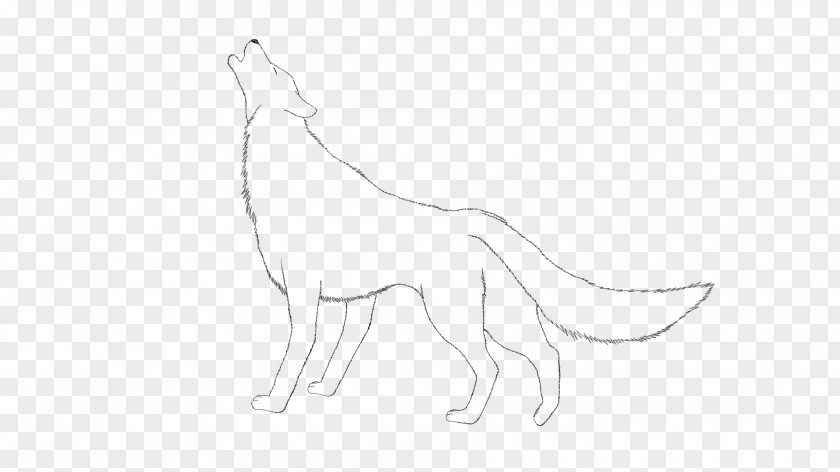 Cat Canidae Macropodidae Dog Mammal PNG