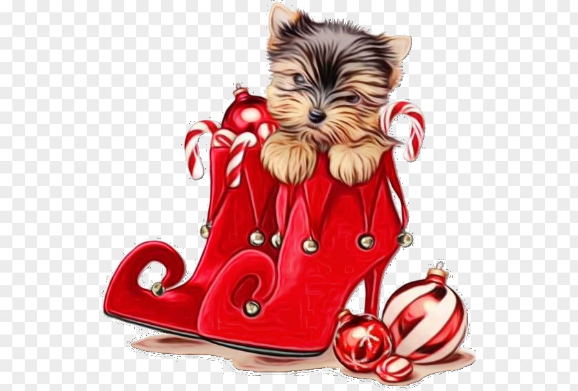 Footwear Puppy Cat And Dog Cartoon PNG