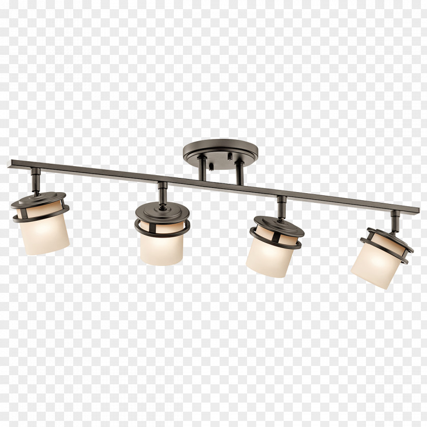 Hanging Island Ceiling Light Fixture PNG