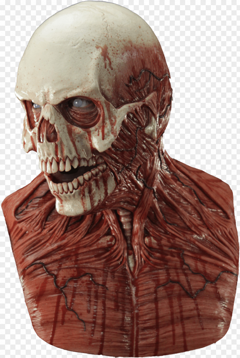 Skull Latex Mask Yorick Silicone PNG